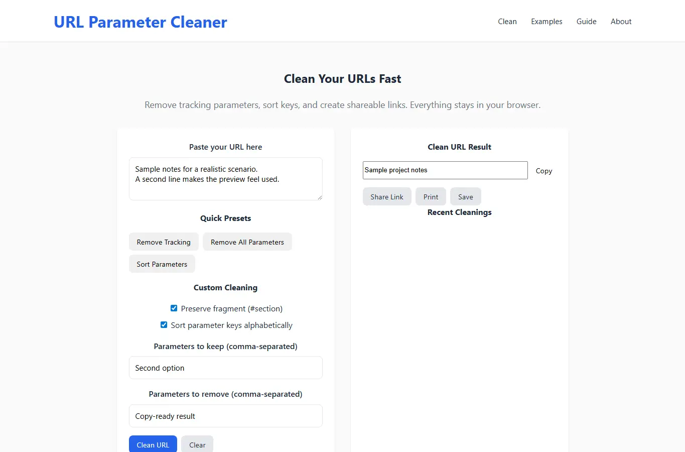 Screenshot of URL Parameter Cleaner interface showing the project page in use